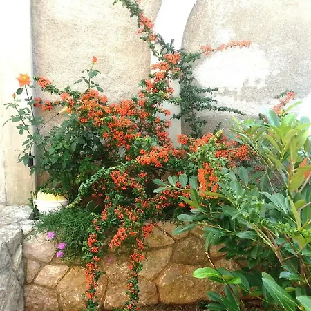 Appartement Guarda *