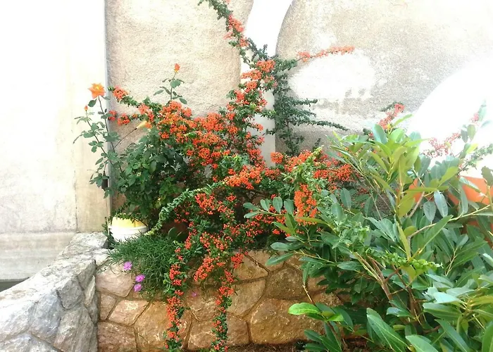 Appartement Guarda *