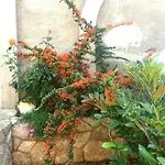 Apartman Guarda *